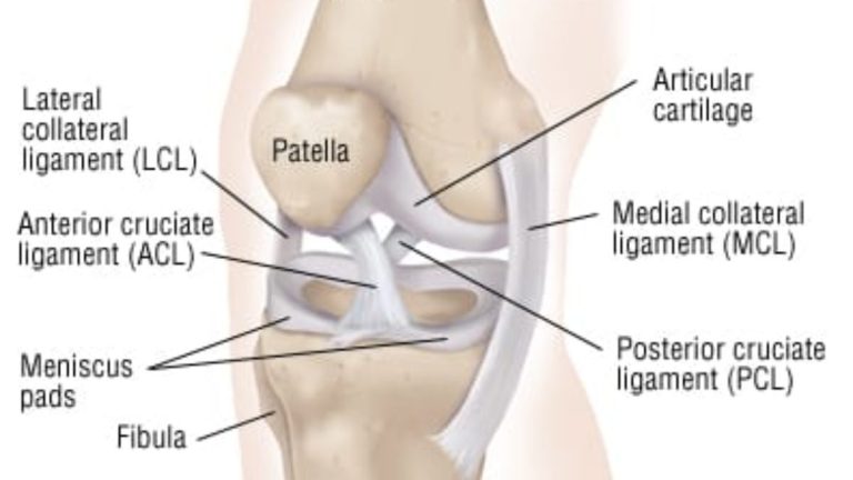 Acl Rupture