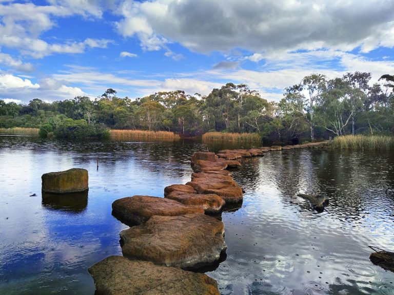Top Things To Do In Newport Australia - Newport Lakes Reserve