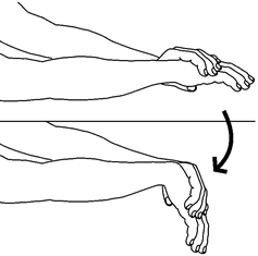 Forearm stretch